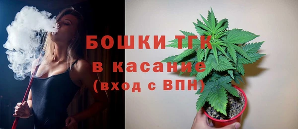 твердый Михайловск