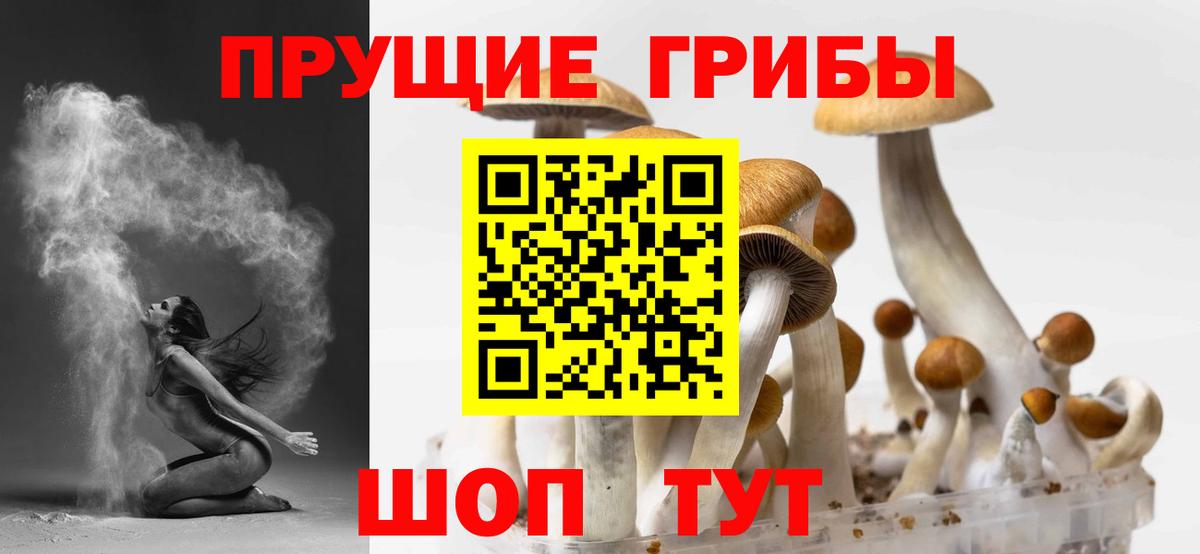 Галлюциногенные грибы мухоморы  Вход с VPN  Галлюциногенные грибы Magic Shrooms  Канск 